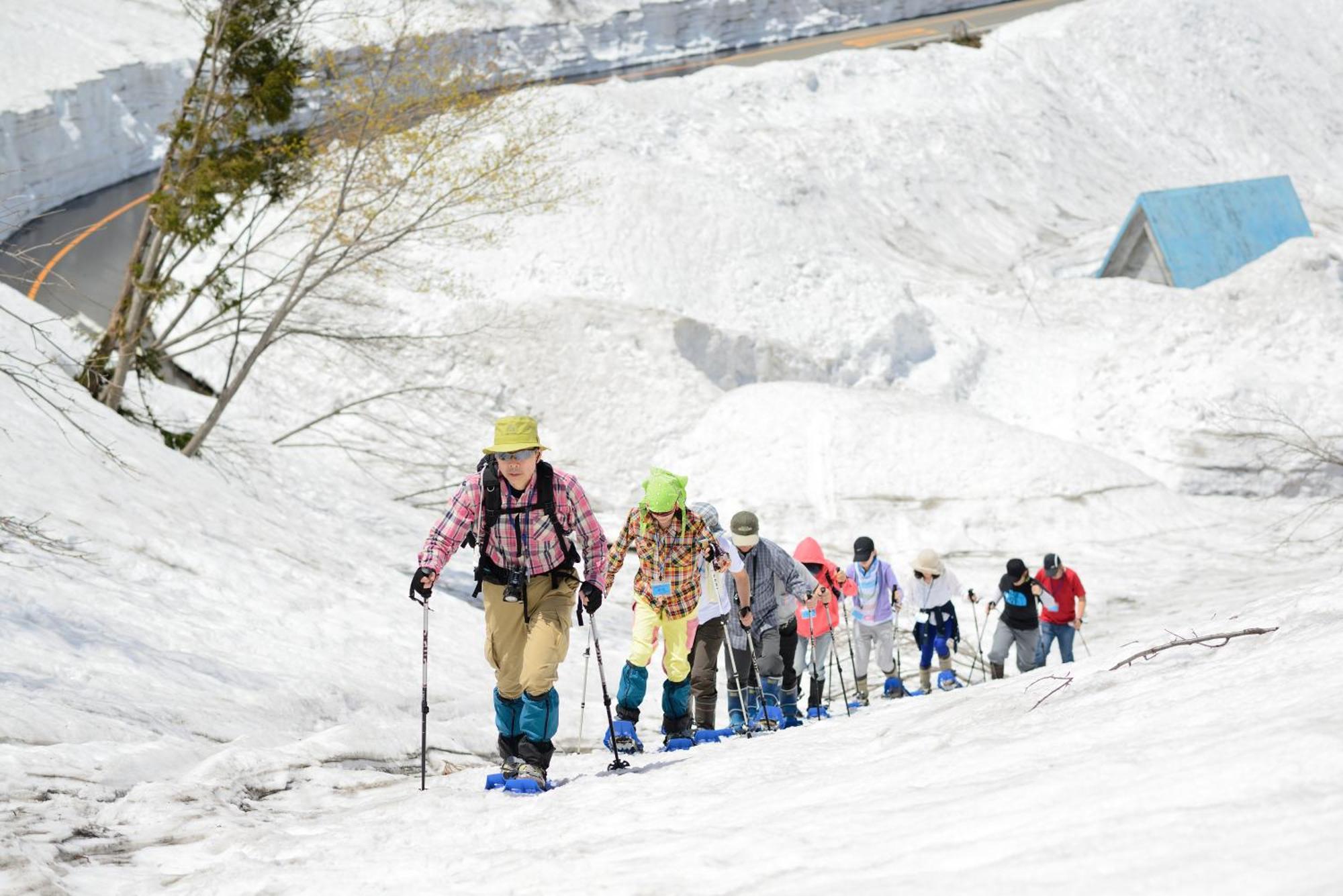 Отель Toyota Shirakawa-Go Eco-Institute Экстерьер фото